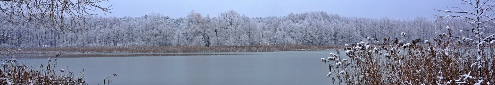 Zima: Jezioro Goreńskie
