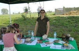 Dzień Dziecka w Świątkowicach