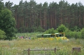 VII Familijny Rajd Rowerowy z Zieloną Kolejką - 13.07.2019