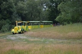 VII Familijny Rajd Rowerowy z Zieloną Kolejką - 13.07.2019
