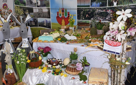 dsc0262-98f7eae482