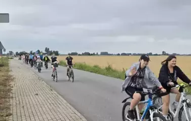 de779a42-4210-4d31-9c1b-61a706a59bcd