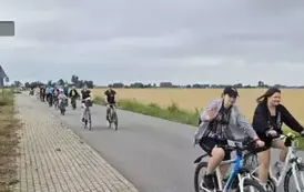 de779a42-4210-4d31-9c1b-61a706a59bcd