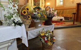 IMG_6373 (Copy)