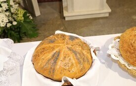 IMG_6356 (Copy)