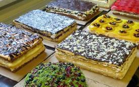 127471829_2780030335597678_5175674324076463587_n