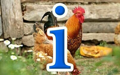 Zdjęcie do Rozporządzenie Wojewody Kujawsko-Pomorskiego