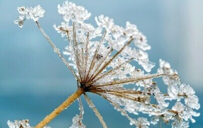 Zdjęcie do Ostrzeżenie meteorologiczne - silny mr&oacute;z