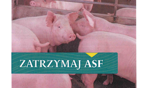 Zdjęcie do ZATRZYMAJ ASF