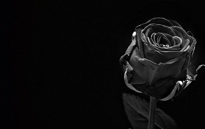 Zdjęcie do Kondolencje dla naszej koleżanki