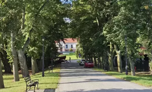 Zdjęcie do Rewitalizacja zadrzewień w zabytkowym parku w Baruchowie